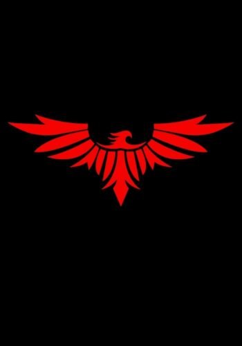 phoenix t shirt for men